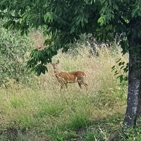 Lo Sguardo Della Natura Framura